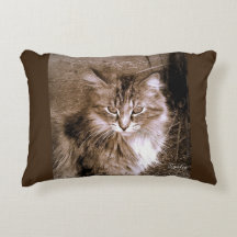 Oreiller jeté de chat Maine Coon sépia
