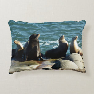 Coussins Décoratifs Otaries de San Diego