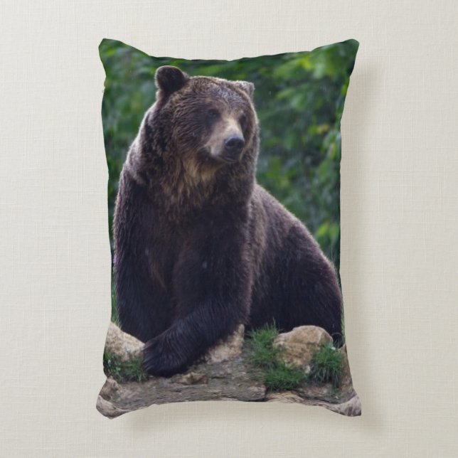 Coussins Décoratifs Ours Brown (Devant(Vertical))