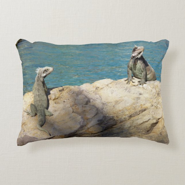 Coussins Décoratifs Paire de Iguanas Photographie de la faune tropical (Devant)