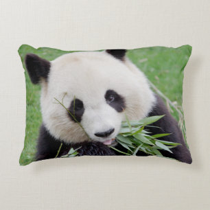 Coussins Décoratifs panda, le géant de la photo coussin.