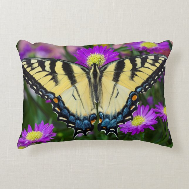 Coussins Décoratifs Papillon à queue d'hirondelle sur marguerite (Devant)