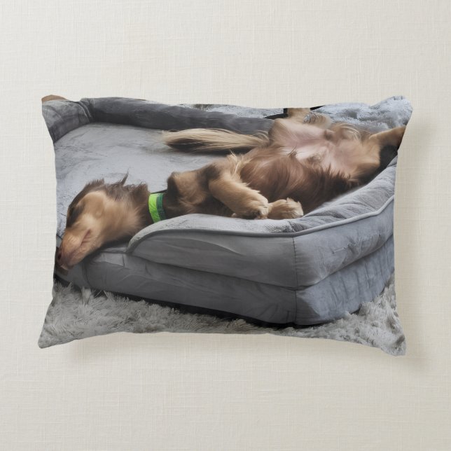 Coussins Décoratifs Personalize Dog Lover Pillow-Use Your Pet's Photo (Dos)