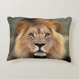 Coussins Décoratifs Photographie de lion