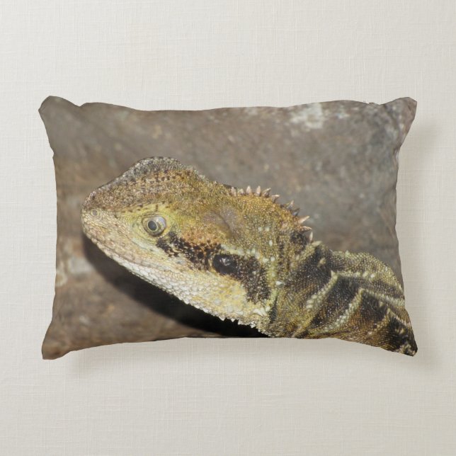 Coussins Décoratifs pilule (Devant)