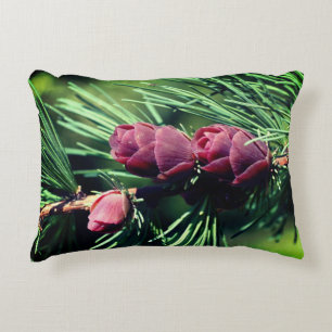 Coussins Décoratifs Pinecones miniatures proches