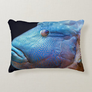 Coussins Décoratifs Poisson bleu