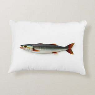 Coussins Décoratifs Poisson snoek sur un fond blanc uni