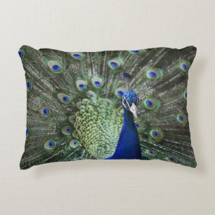 Coussins Décoratifs Portrait de paon avec des plumes