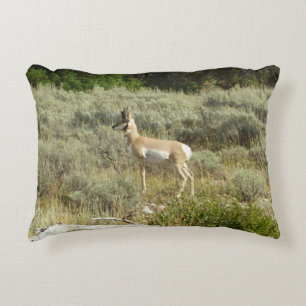 Coussins Décoratifs Pronghorn au Parc national de Grand Teton