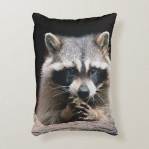 Coussins Décoratifs Raton laveur 004