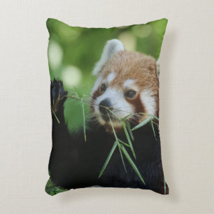 Coussins Décoratifs RedPanda 002