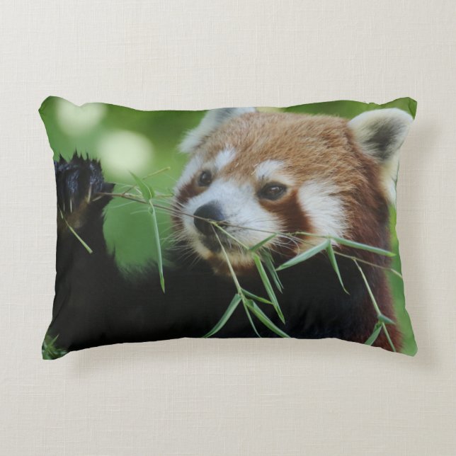 Coussins Décoratifs RedPanda 002 (Devant)