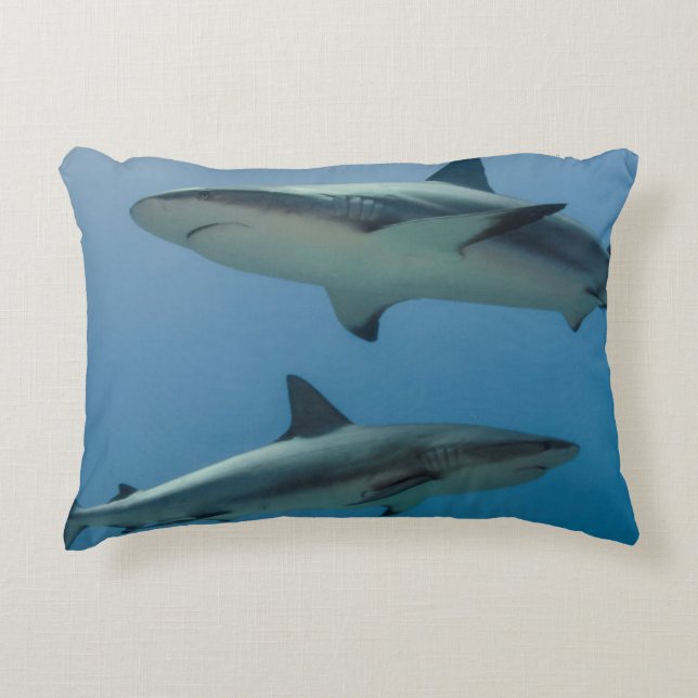 Coussins Décoratifs Requin des récifs des Caraïbes (Devant)