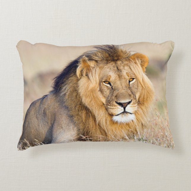 Coussins Décoratifs Safari photographie de la faune du lion Afrique (Devant)