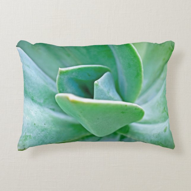 Coussins Décoratifs Swirl Succulent (Devant)