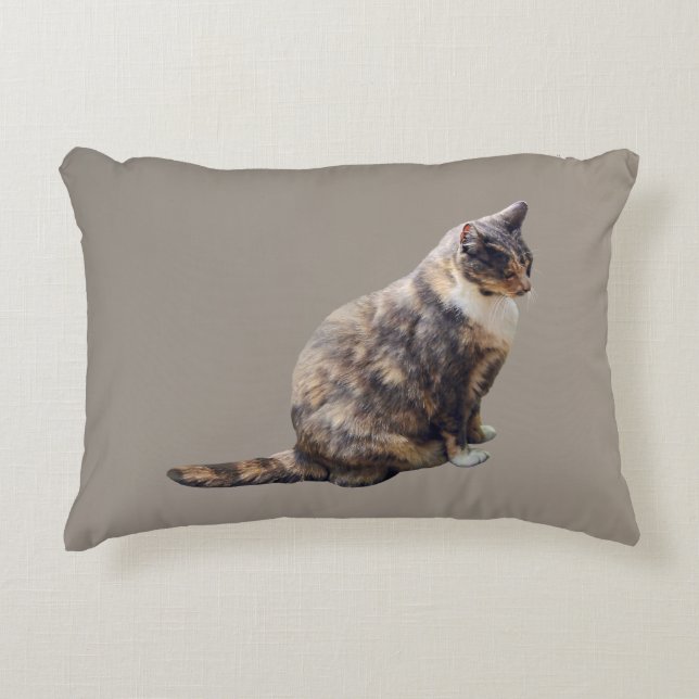 Coussins Décoratifs Tabby Chat dans les nuances de Brown (Devant)