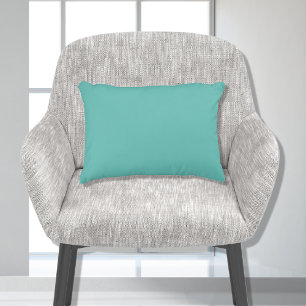 Coussins Décoratifs Teinte de base Aqua Bleu sarcelle  Couleur unie 11