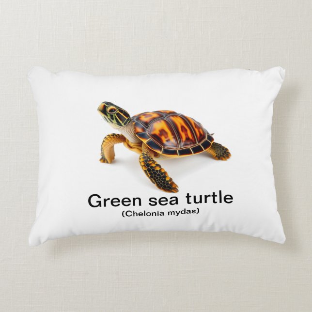 Coussins Décoratifs Tortue verte (Devant)