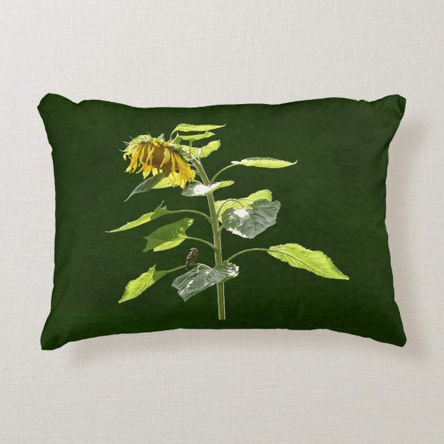 Coussins Décoratifs Tournesol et Épervier (Devant)