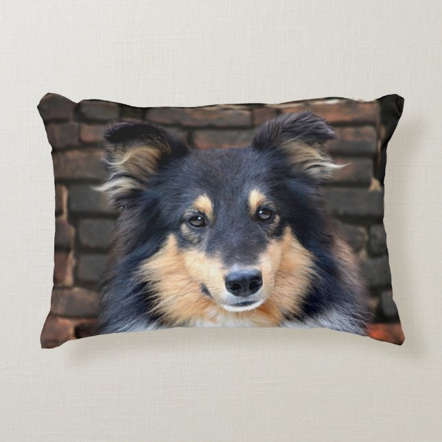 Coussins Décoratifs Tricolor Sheltie (Devant)