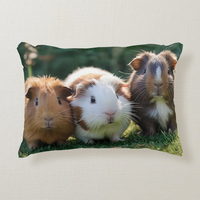 Coussins Décoratifs Trois bébés cochons de Guinée, (Devant)