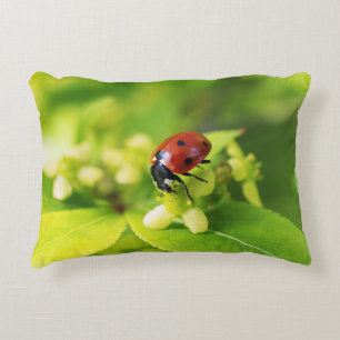 Coussins Décoratifs Une belle coccinelle brillante sur des feuilles ve