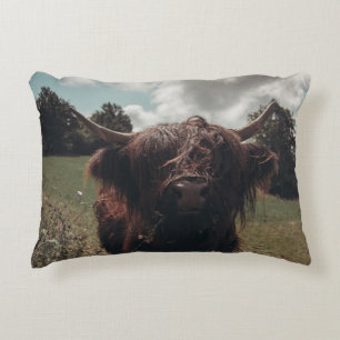 Coussins Décoratifs Vache écossaise de la région montagneuse noire pât
