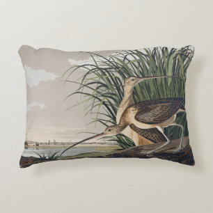 Coussins Décoratifs Vintage Audubon Courlis à long bec Art ornithologi