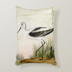 Coussins Décoratifs Vintage Marine Life Shorebirds, Avocet Birds