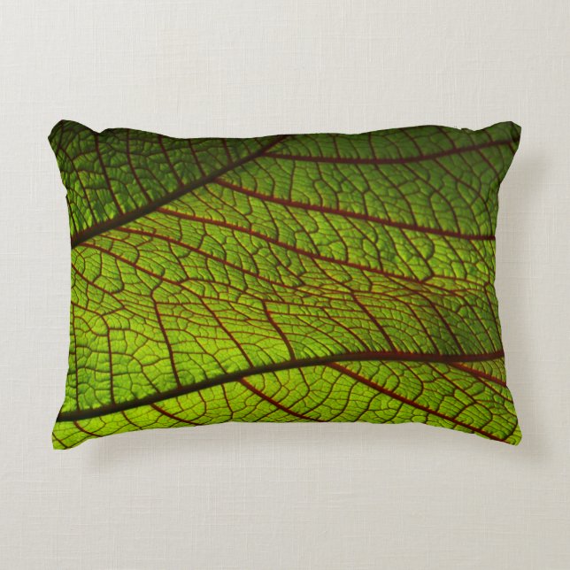Coussins Décoratifs Vitres feuille de macro veines feuille vert (Devant)