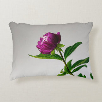 Coussins Décoratifs Voici quelques idées de titre créatives pour un co