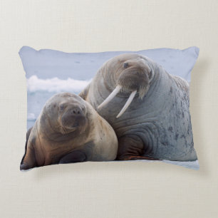 Coussins Décoratifs Walrus cow and calf reston on a sea ice floe
