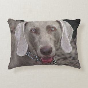 Coussins Décoratifs Weimaraner