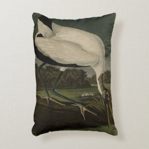 Coussins Décoratifs Wood Ibiss (Ibis, Stork) : Audubon Birds of Americ