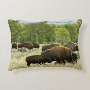 Coussins Décoratifs Wyoming Bison Nature Animal Photographie
