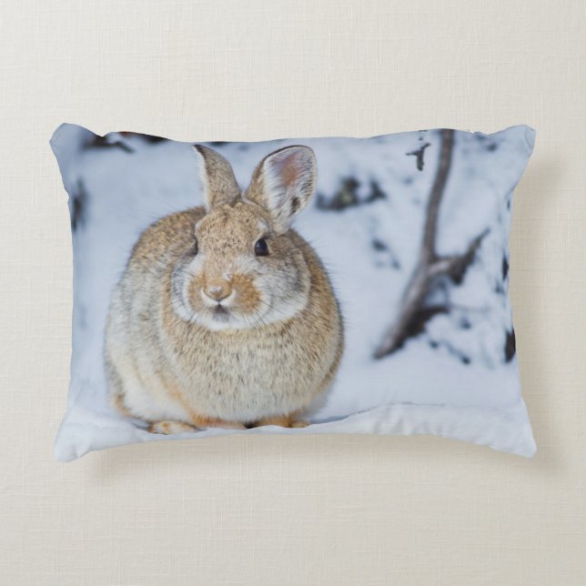 Coussins Décoratifs Wyoming, comté de Sublette, lapin de Nuttall (Devant)