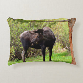 Coussins Décoratifs Young Bull Moose