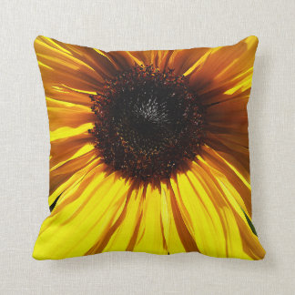 Coussins jaunes de plan rapproché de tournesol