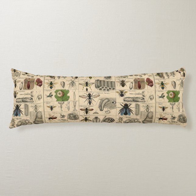 Coussins Longs Abeille Insecte Bug Wasp Nature Peinture des abeil (Devant)