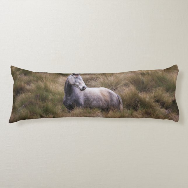 Coussins Longs Beau Cheval gris coloré (Devant)