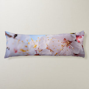 Coussins Longs Blossom des abricots japonais