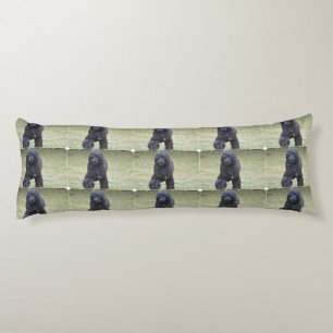 Coussins Longs Chien d'eau portugais noir