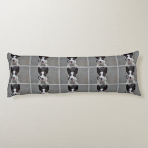 Coussins Longs Chiot mignon de corgi