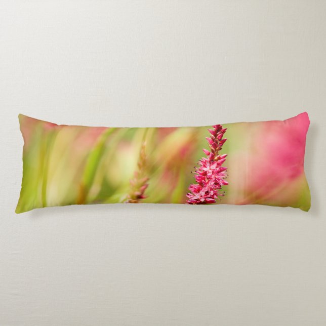 Coussins Longs coloris (Devant)