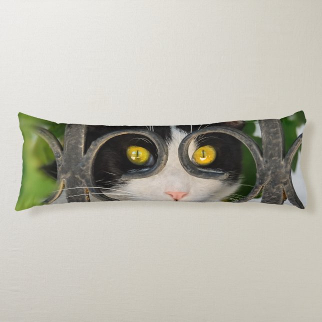 Coussins Longs Curieux Chat avec Spectacles Cadre Amusant Animaux (Devant)