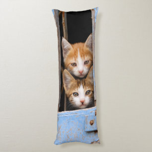 Coussins Longs Cute Kittens dans une fenêtre Vintage, câlins