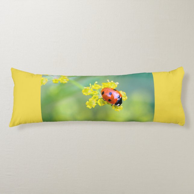 Coussins Longs dame sur le dessus (Devant)