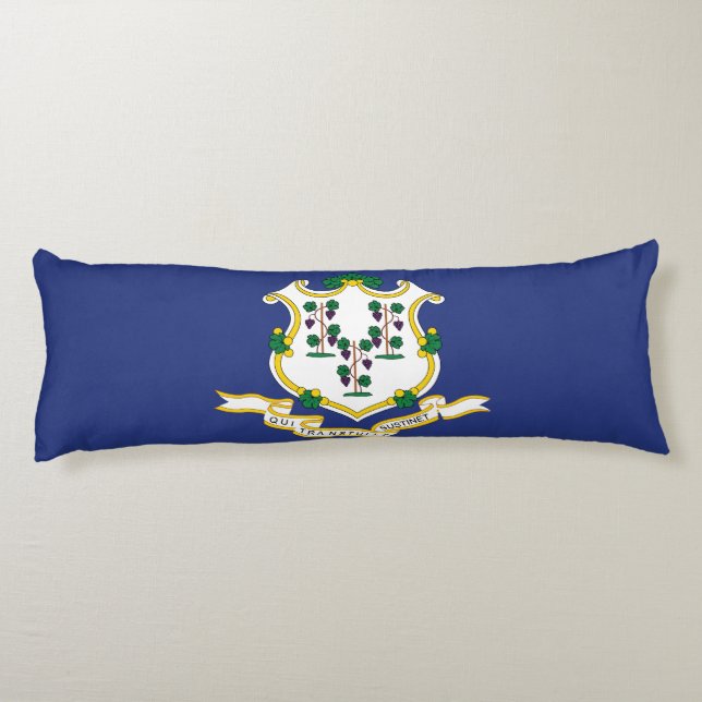 Coussins Longs Drapeau de l'État du Connecticut (Dos)