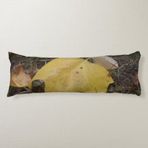 Élégance de l'automne